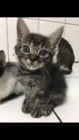 Thomas /Zeus
