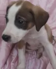 Lua