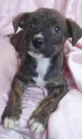 Plutão