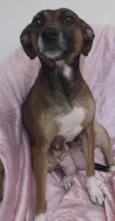 Mika