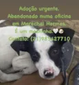 Sem nome