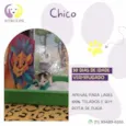 Chicco