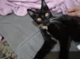Lupita e ska