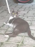 Lupita e ska