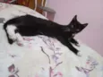 Lupita e ska