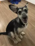 Maggie