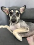 Maggie