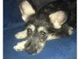 Maggie