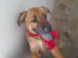 Lola