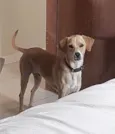 Omar