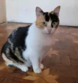 Frida