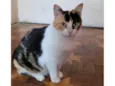 Frida