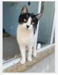 MAGGIE