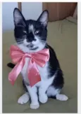 AIKA