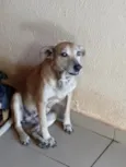 Lilica