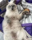 Margot