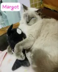 Margot