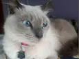 Margot