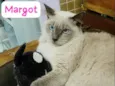 Margot