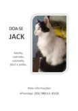 Jack
