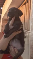 Não tem