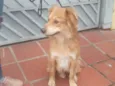 Faísca 