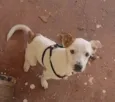 Edy
