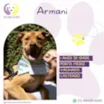Armani