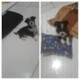 Menina