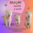 Sandy
