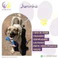 Juninho