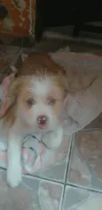 Princesa
