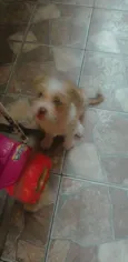 Princesa