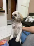 GRATIFICA - Lolla