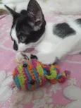 Bebezinha (Fêmea 2 meses)
