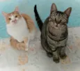 Aderbal & Onofre