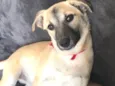 Lilly