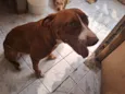 Mel