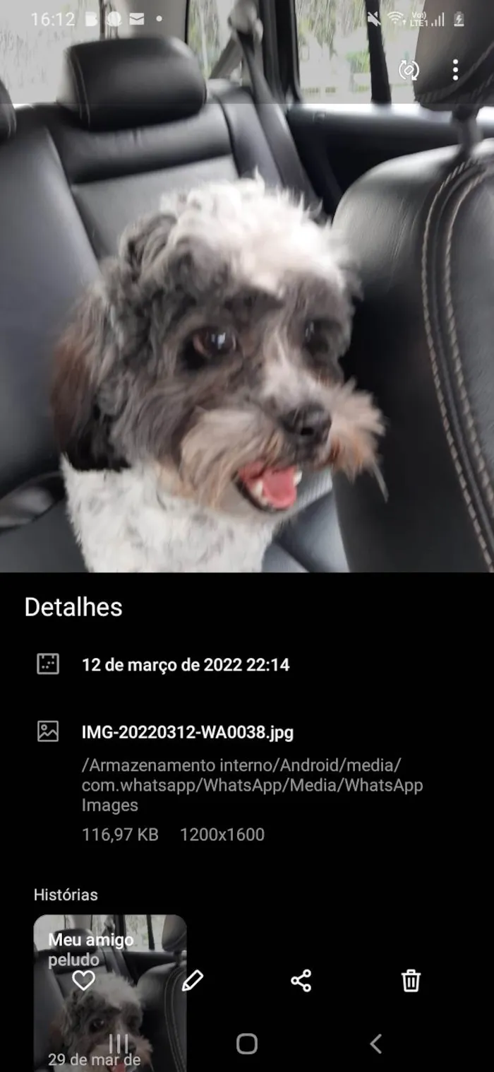 Cachorro ra a Lhiasa Apso idade 2 anos nome Fiuk