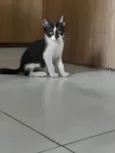 Olivia