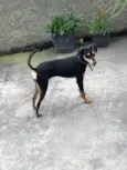 Mel