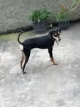 Mel