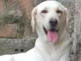 Lupita 