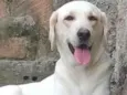 Lupita