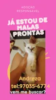 Não tem