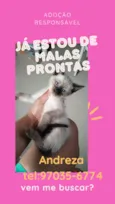 Não tem
