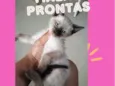 Não tem