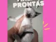 Não tem