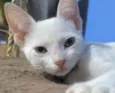 Nick 