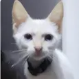 Billy 